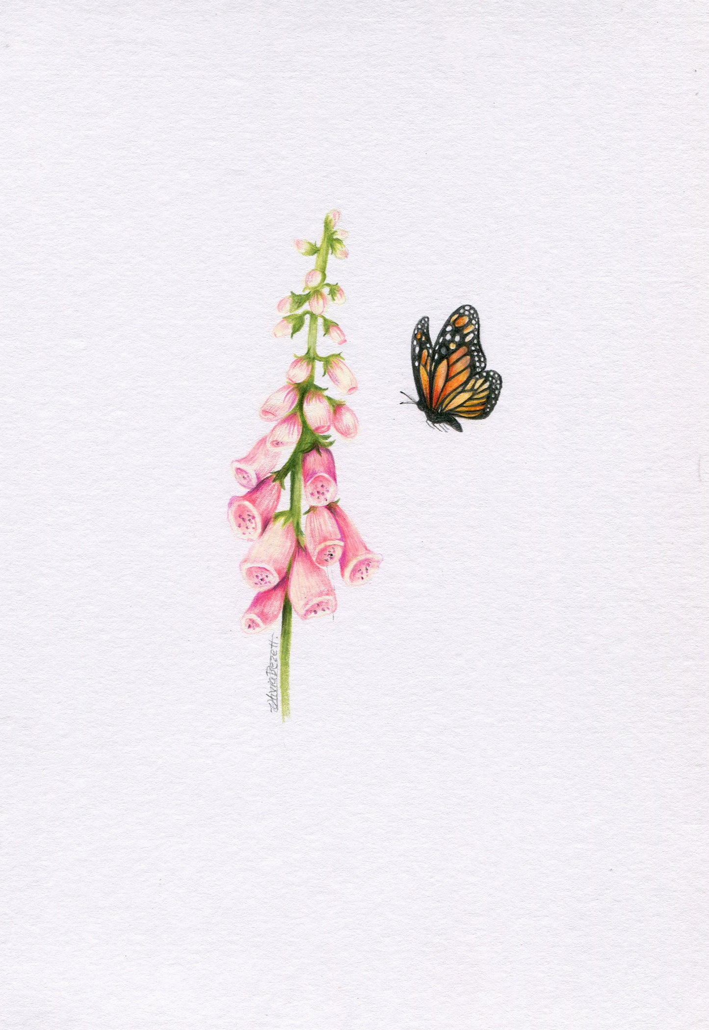 Mini one-off original 'Foxglove and Butterfly'