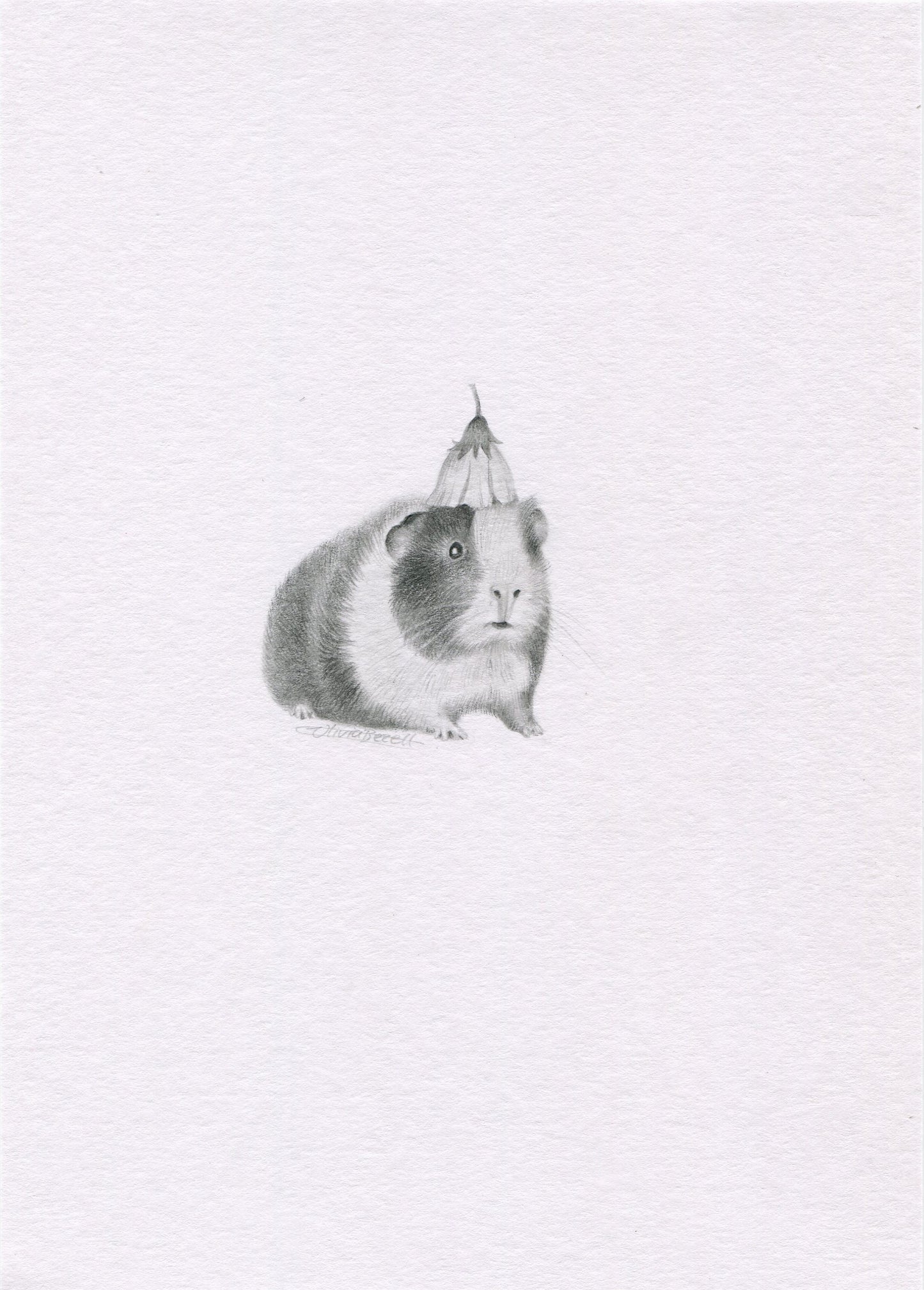 GRAPHITE Mystery Mini - PRE ORDER