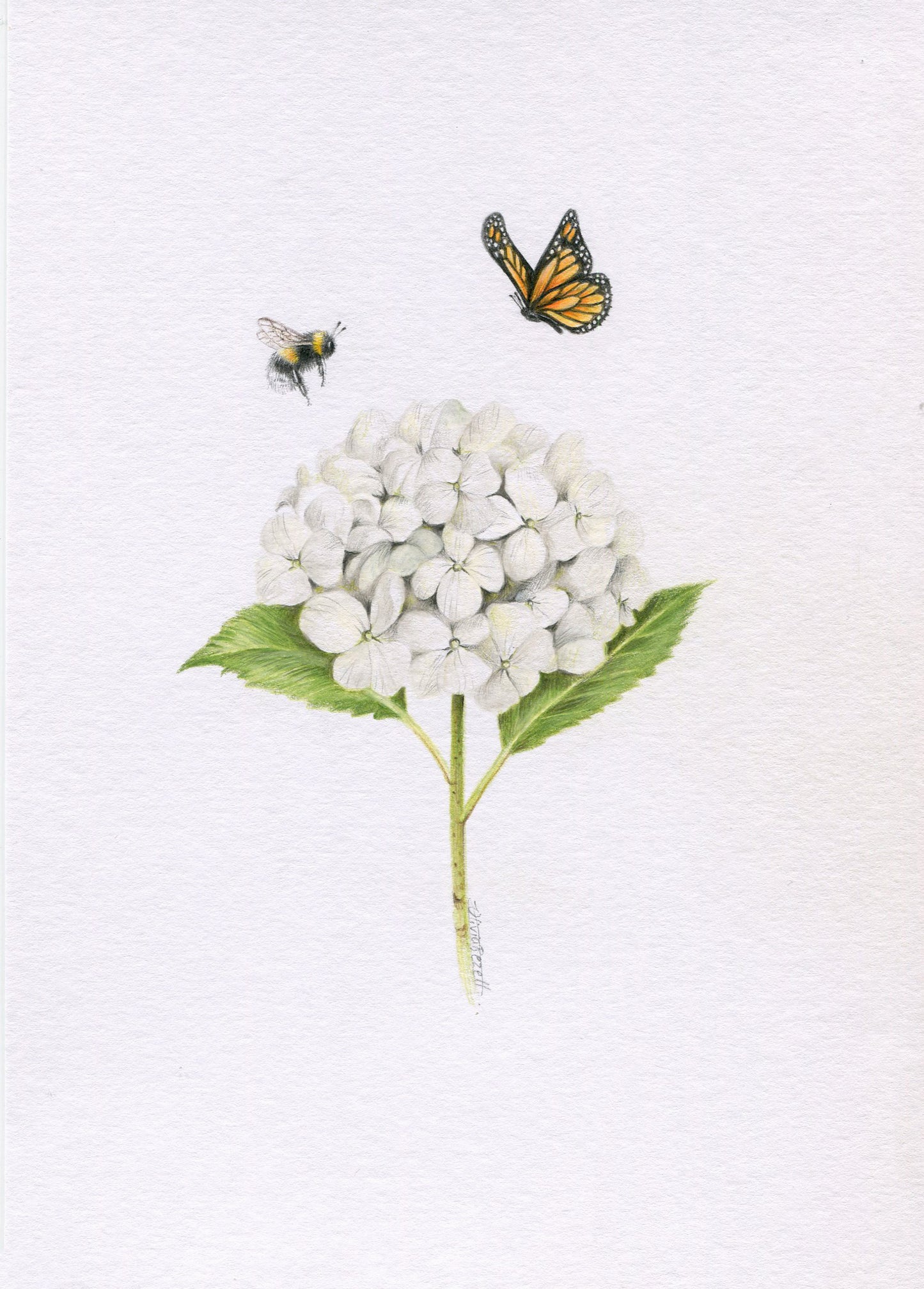 Mini one-off original 'White Hydrangea, Bee and Butterfly'