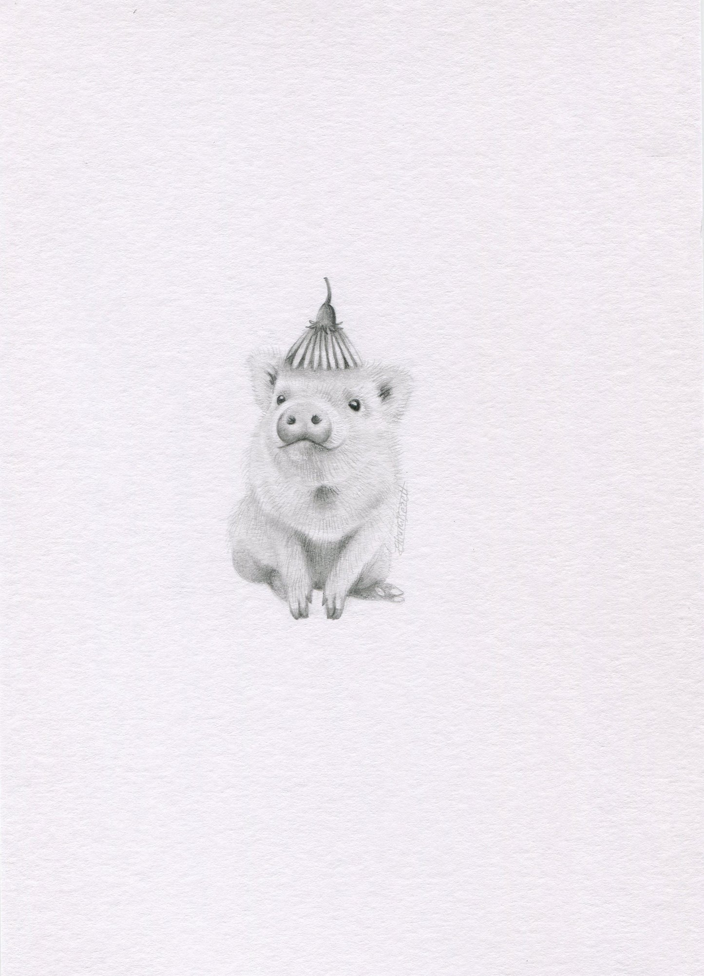 GRAPHITE Mystery Mini - PRE ORDER