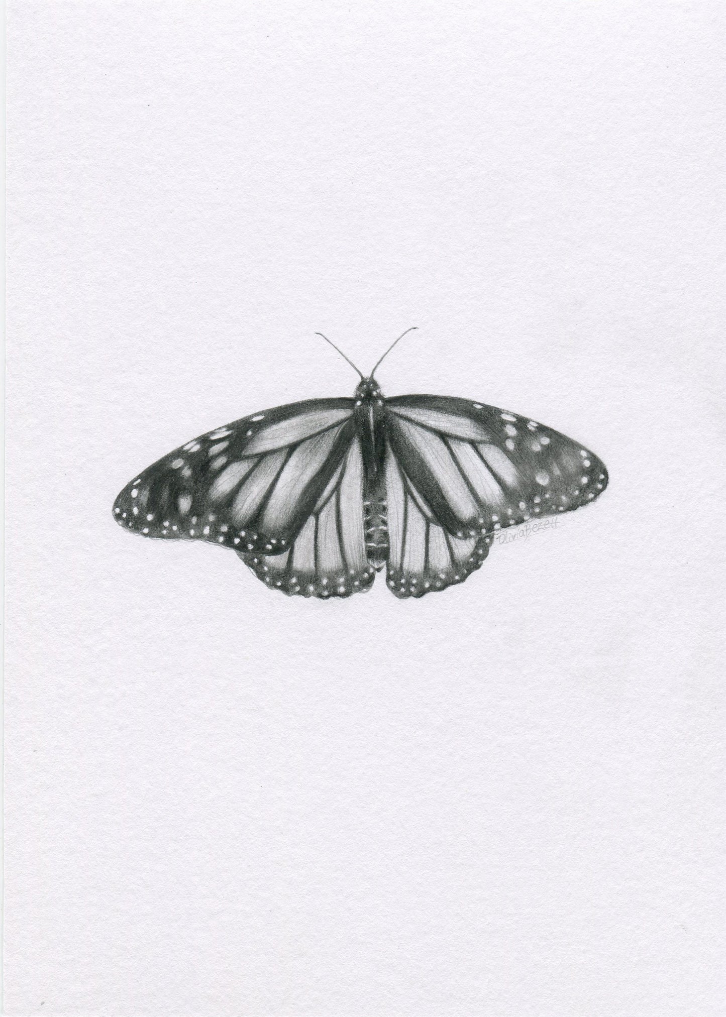 Mini one-off original 'Monarch Butterfly' – Olivia Bezett Artist