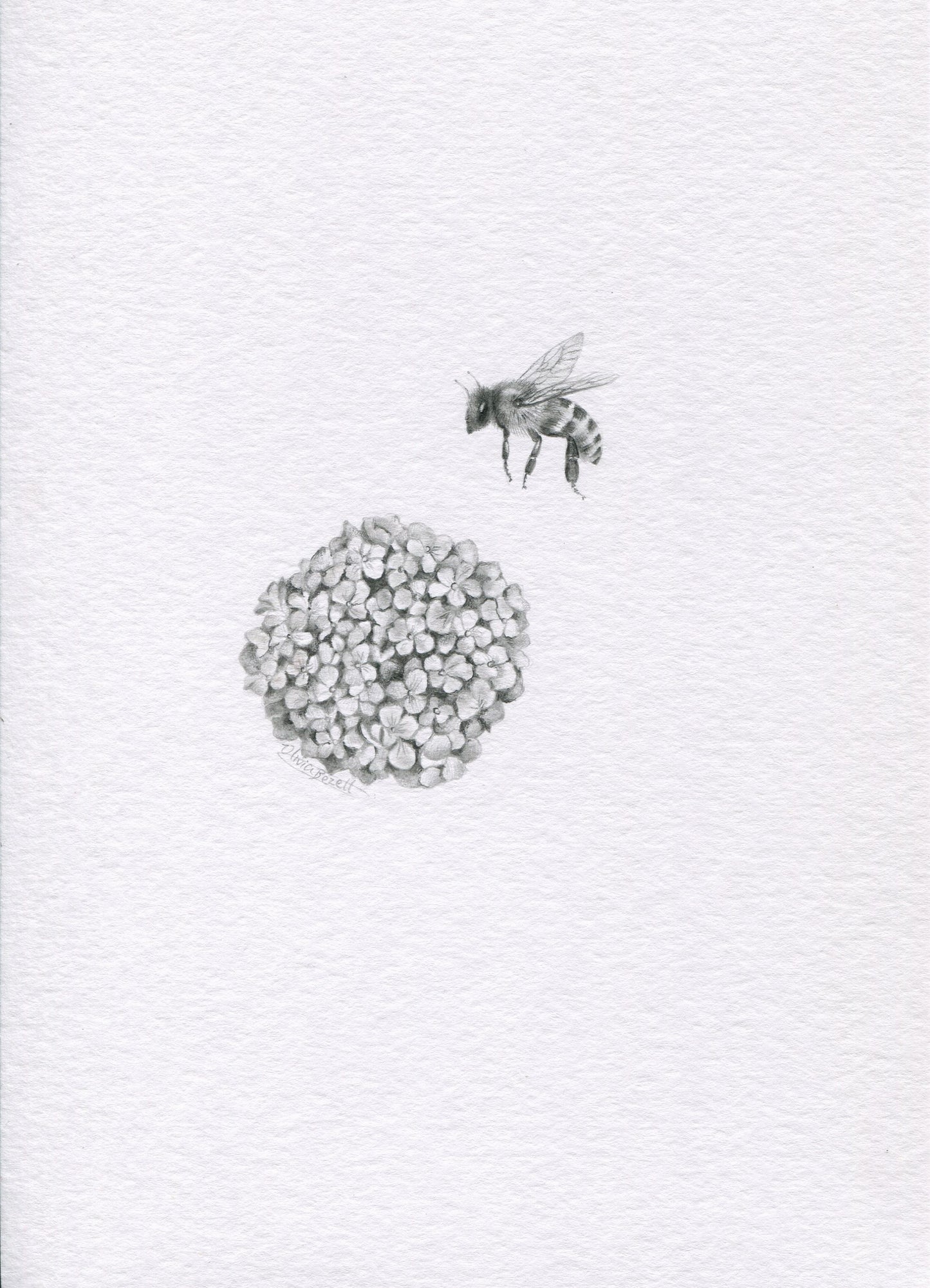 Mini one-off original 'Honey Bee and Hydrangea'