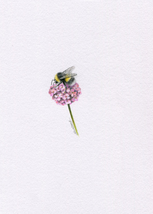 Mini one-off original 'coloured pencil bee 10'