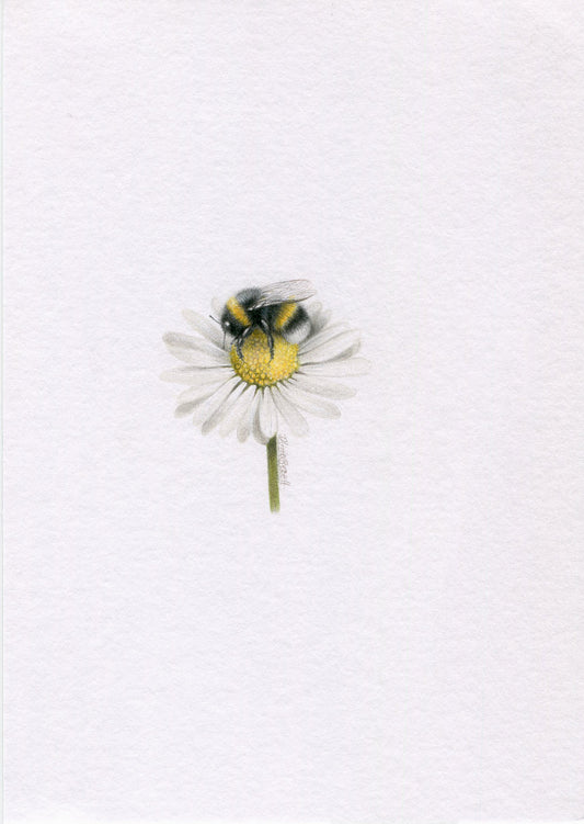 Mini one-off original 'coloured pencil bee 5'