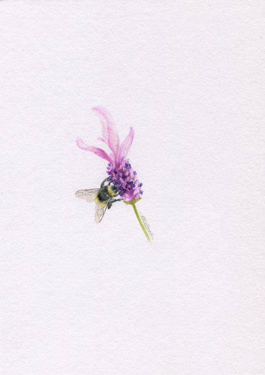 Mini one-off original 'coloured pencil bee 6'