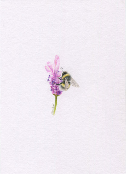 Mini one-off original 'coloured pencil bee 8'