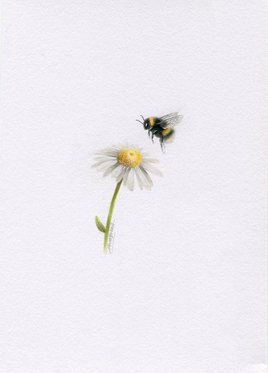 Mini one-off original 'coloured pencil bee 9'