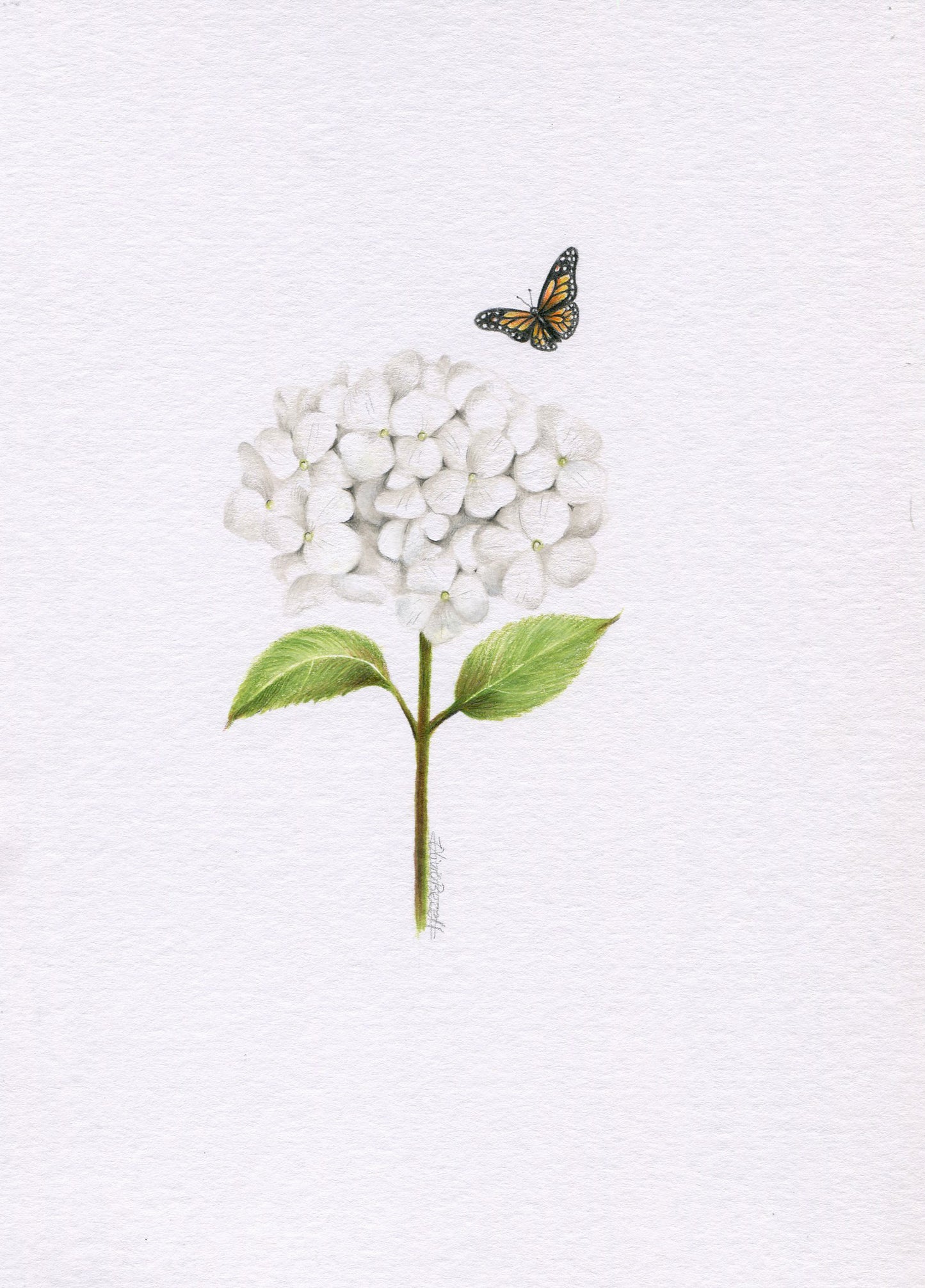 Mini one-off original 'Hydrangea and Butterfly 4'