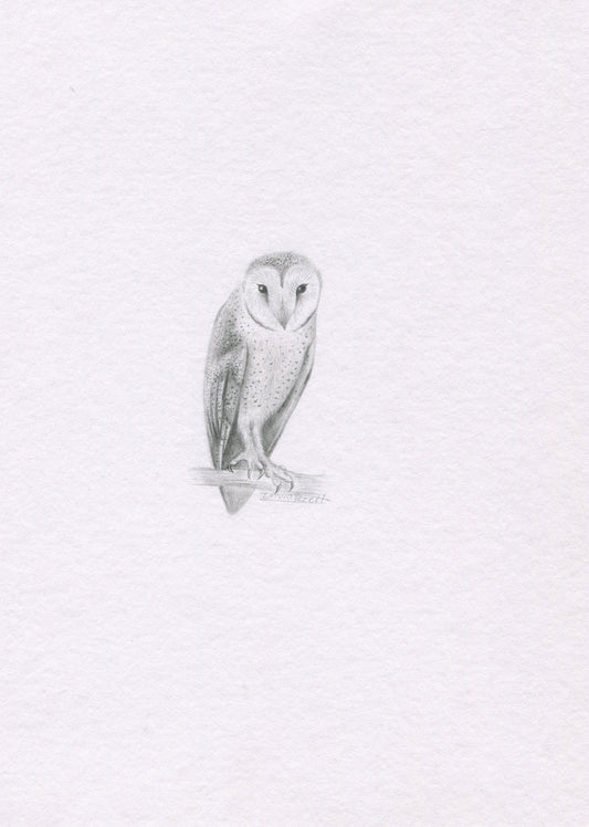 Mini one-off original 'Barn owl'