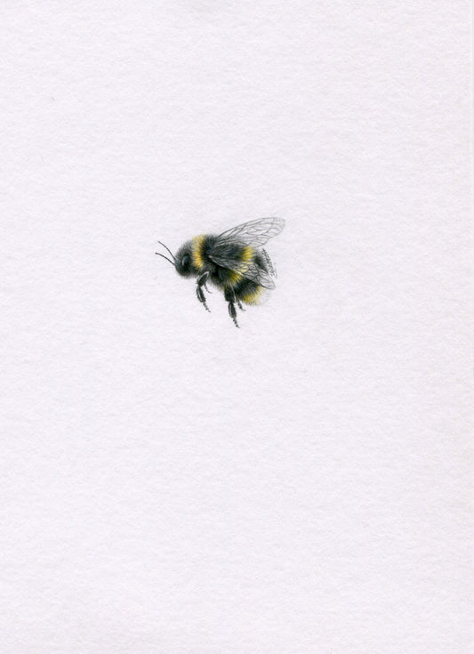Mini one-off original 'coloured pencil bee 3'