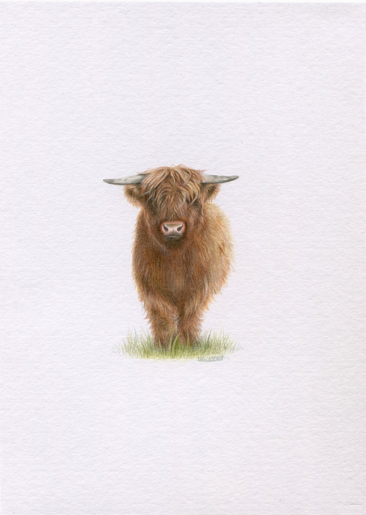 Mini one-off original 'Highland Cow'