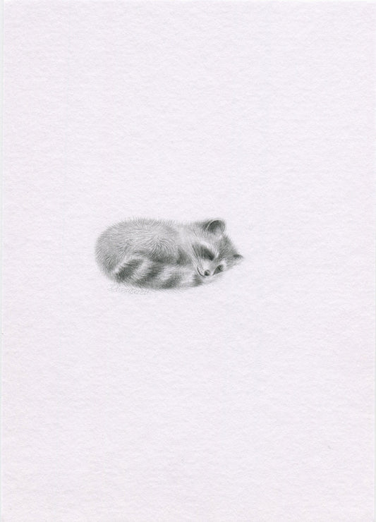 Mini one-off original 'Raccoon'