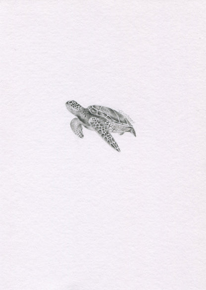 Mini one-off original 'Turtle'