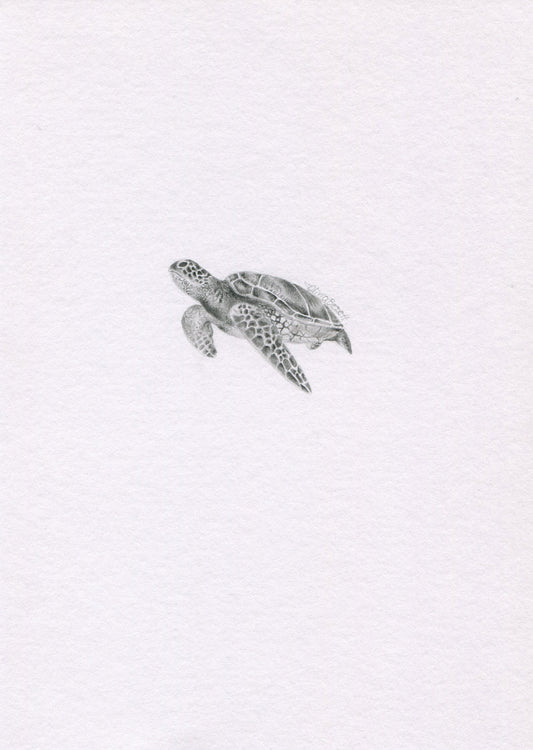 Mini one-off original 'Turtle'