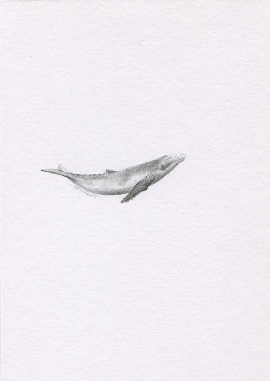 Mini one-off original 'Whale'