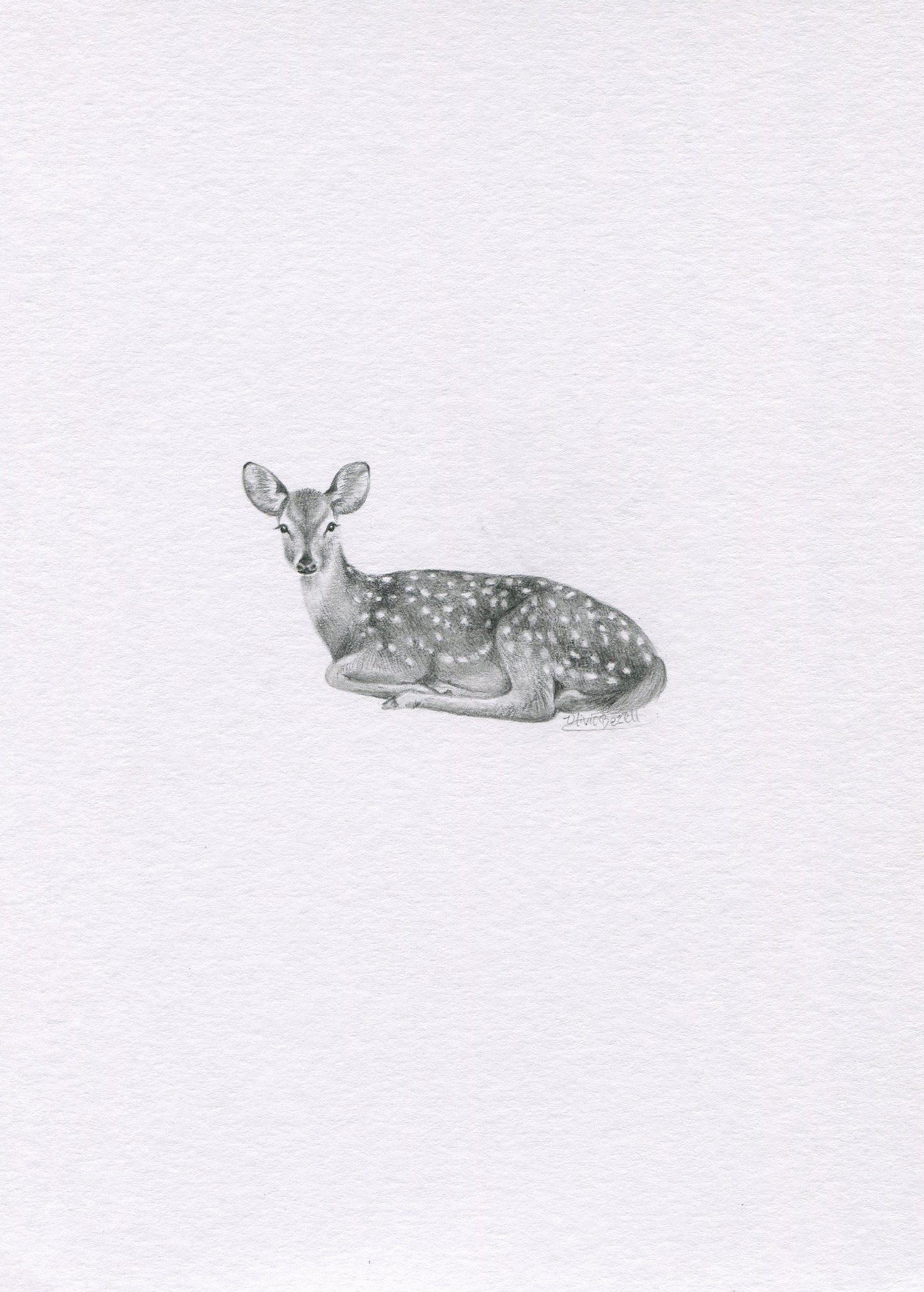 Mini one-off original 'Spotted Doe'