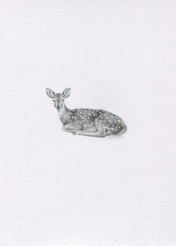 Mini one-off original 'Spotted Doe' – Olivia Bezett Artist