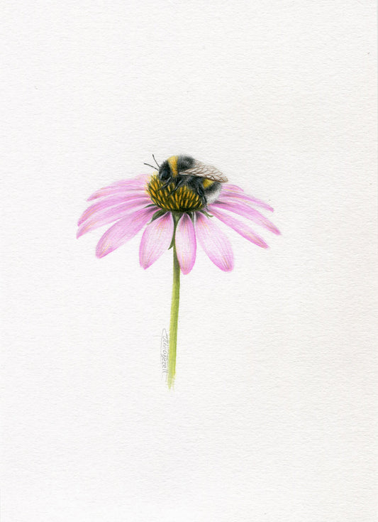 Mini one-off original 'coloured pencil bee 11'