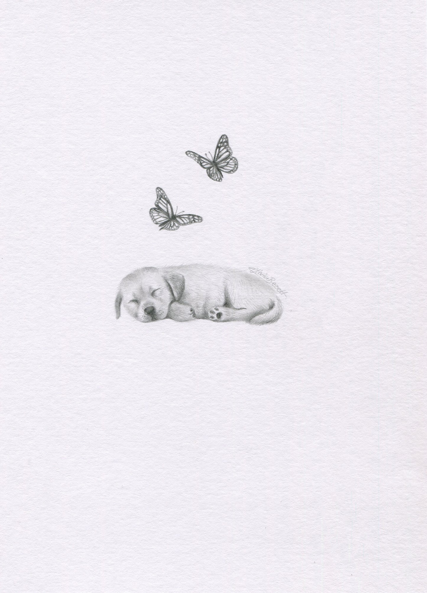 Mini one-off original 'Sleeping Puppy and Butterflies'