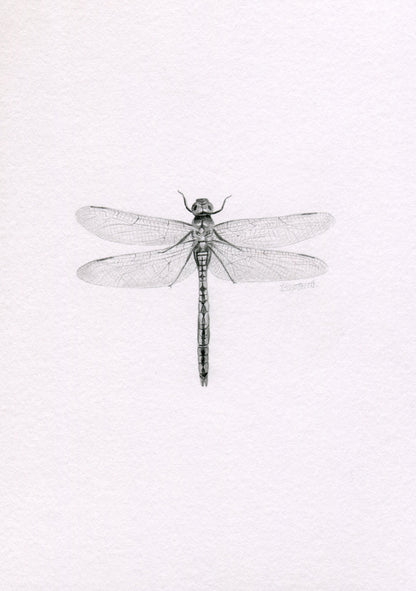 Mini one-off original 'Dragonfly'