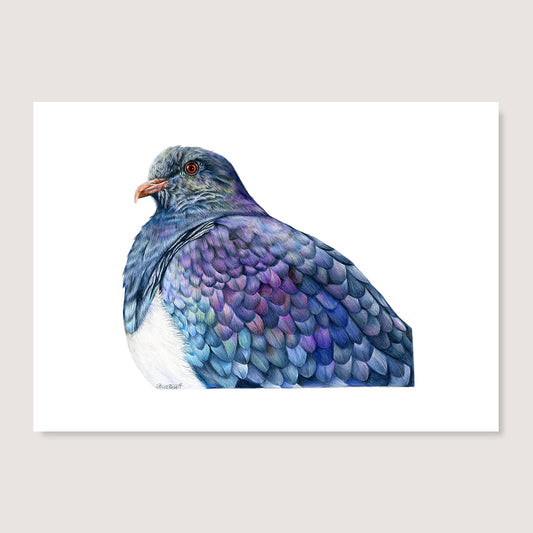 SALE - Proud Kereru print A5