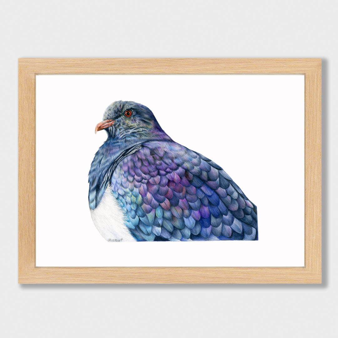 Proud Kererū Print