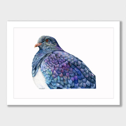 Proud Kererū Print