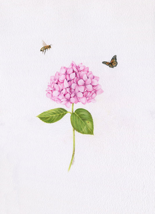 Original 'Pink Hydrangea, Bee and Butterfly'