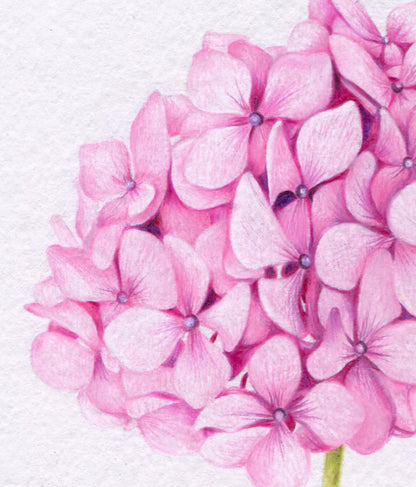 Original 'Pink Hydrangea, Bee and Butterfly'