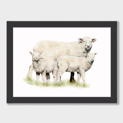 Sheep Family Print