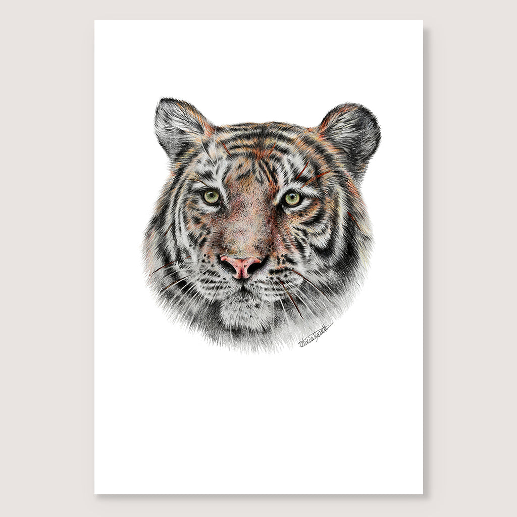 SALE - Tiger print A5