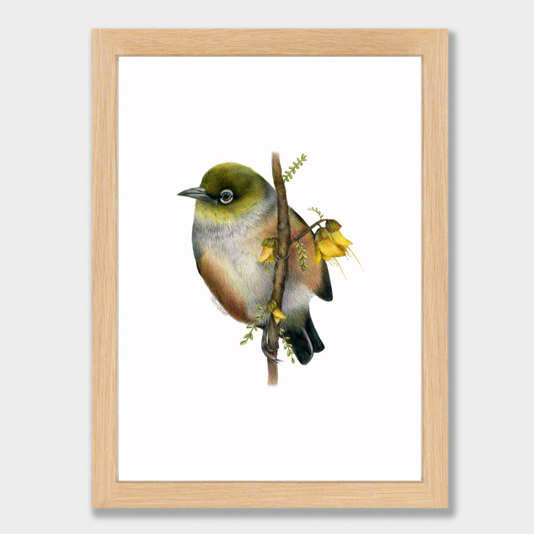 Waxeye Print