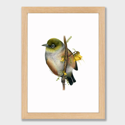 Waxeye Print