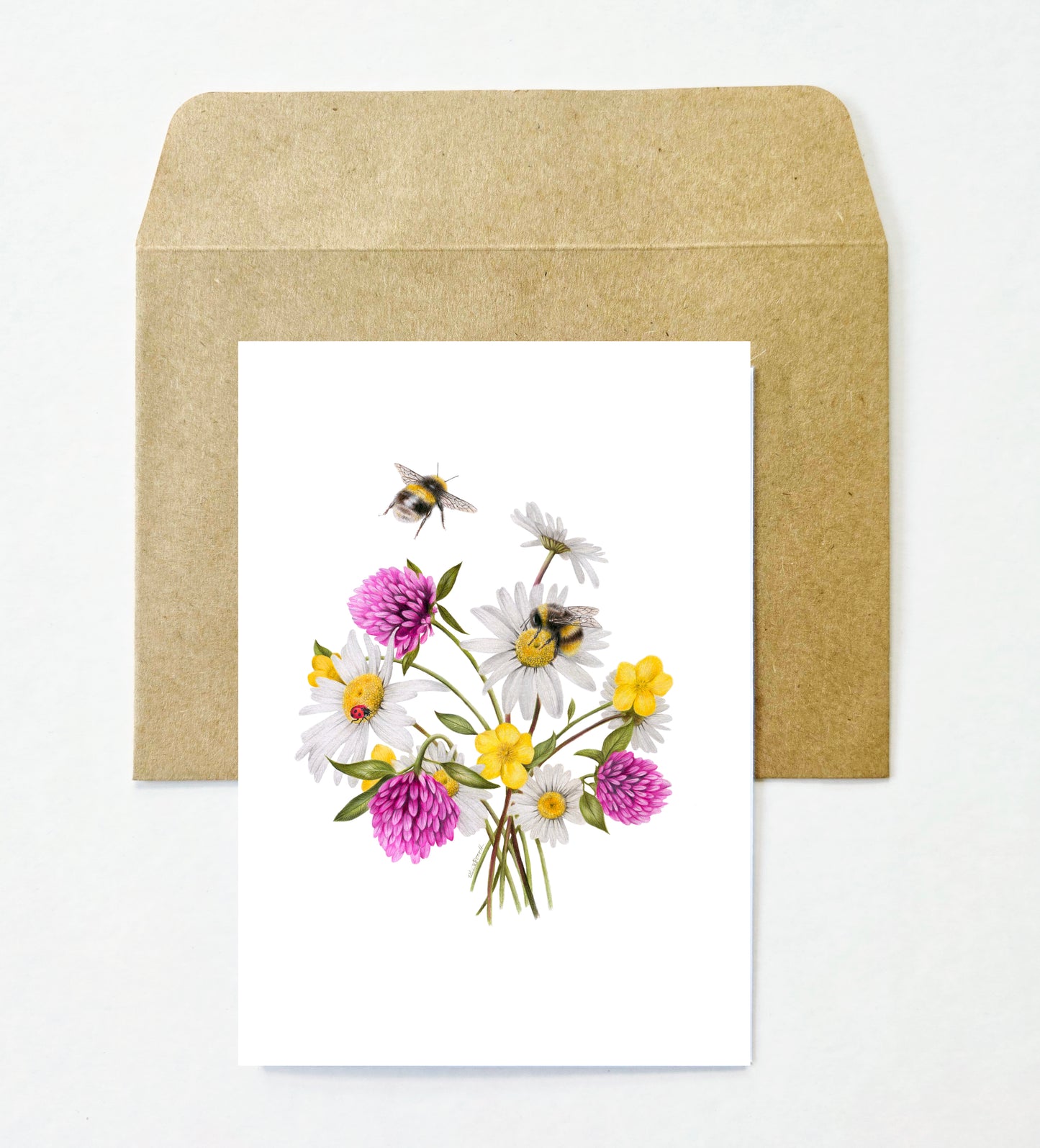 Flowers and Bees 12 Pack Greeting Card set