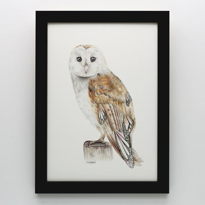 Butterfly Barn Owl Print