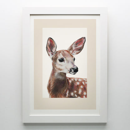 Doe Print