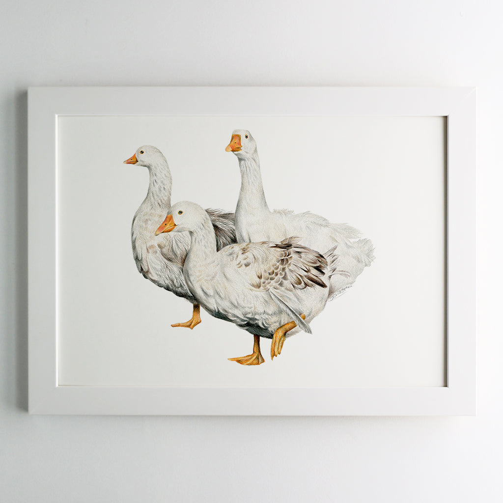Geese Family Print
