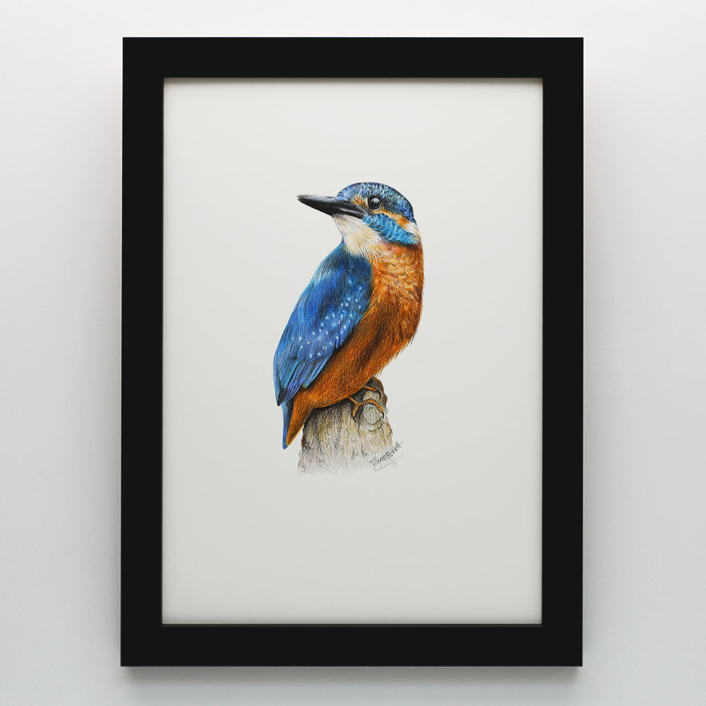 Kingfisher Print