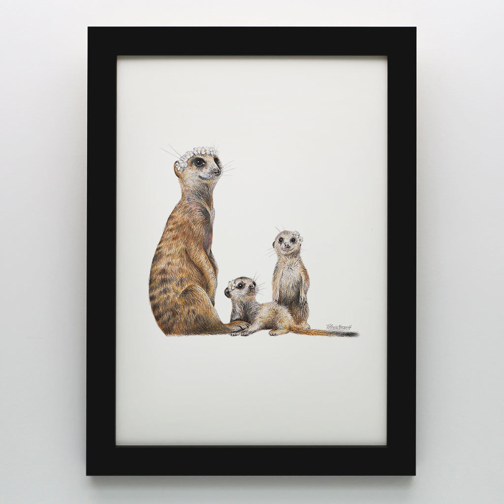 Meerkats Print