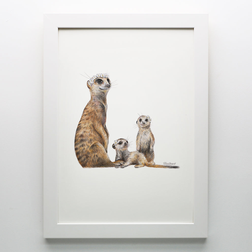 Meerkats Print