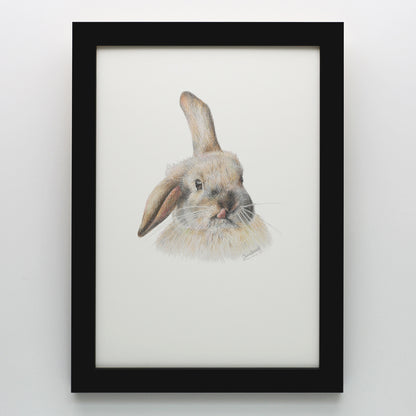 Silly Bunny Print